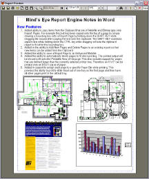 Mind's Eye Report Engine (MERE)